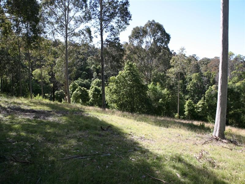 235 Ridge Road, Central Tilba NSW 2546