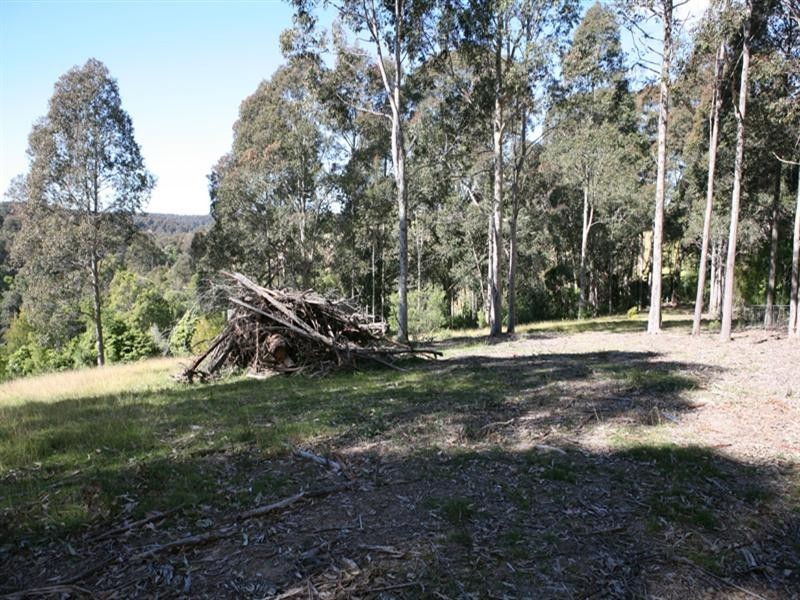 235 Ridge Road, Central Tilba NSW 2546