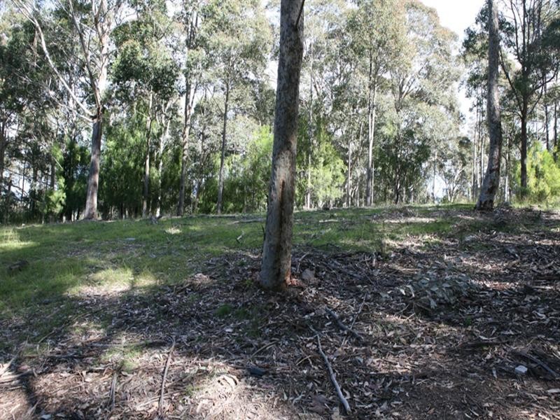 235 Ridge Road, Central Tilba NSW 2546