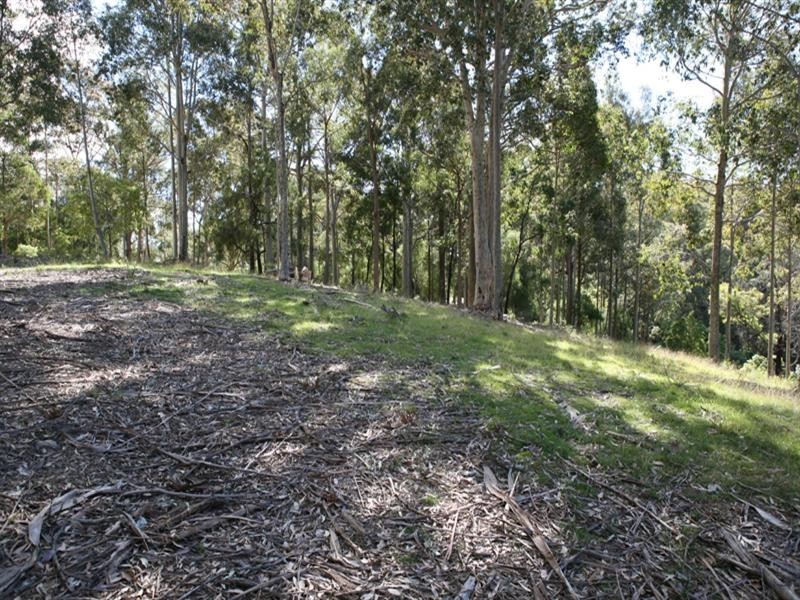 235 Ridge Road, Central Tilba NSW 2546