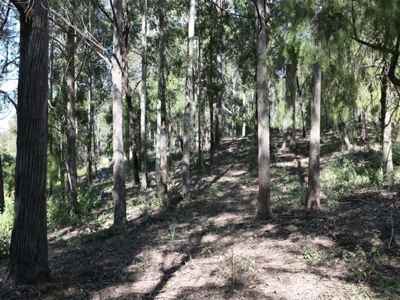 235 Ridge Road, Central Tilba NSW 2546