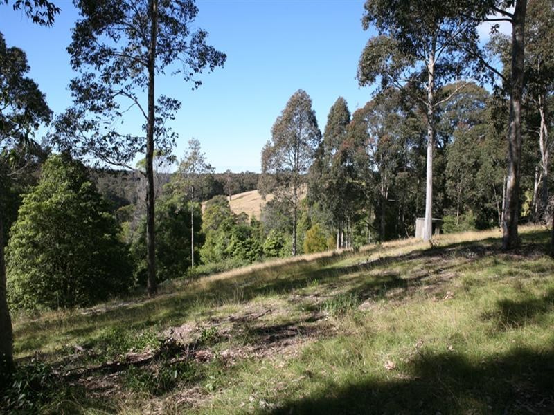 235 Ridge Road, Central Tilba NSW 2546