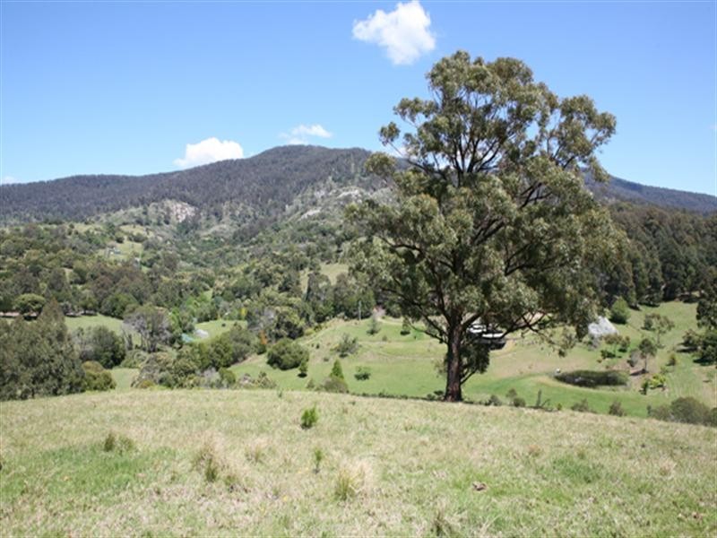 Central Tilba NSW 2546