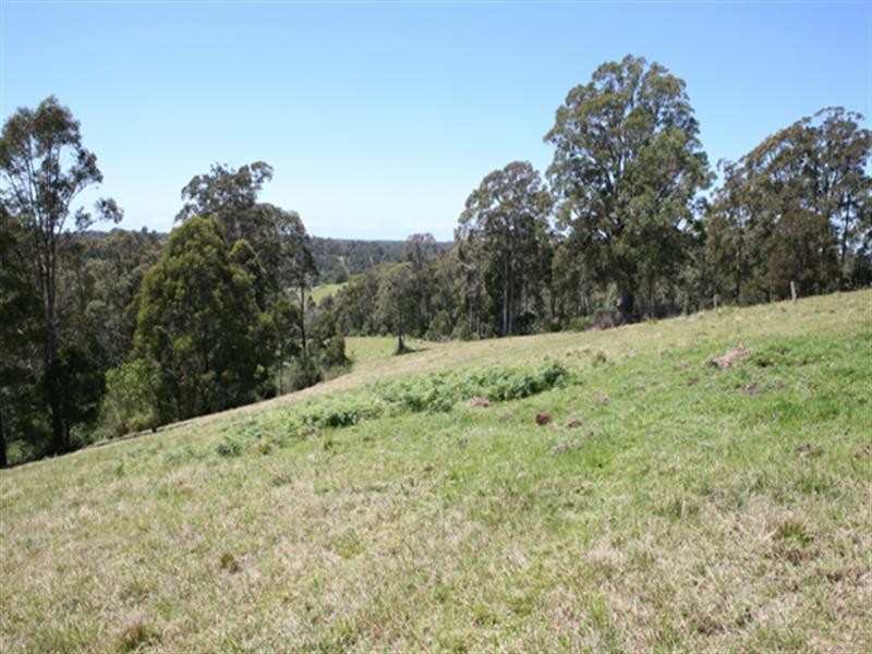 Central Tilba NSW 2546