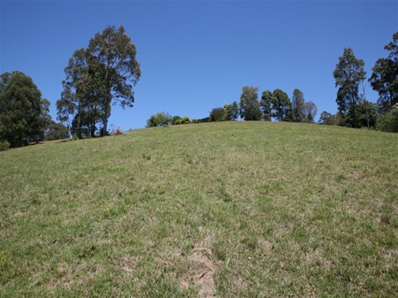 Central Tilba NSW 2546