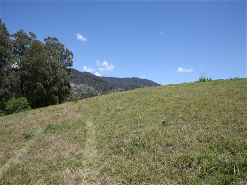 Central Tilba NSW 2546