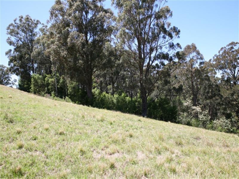 Central Tilba NSW 2546