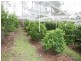 Bodalla NSW 2545