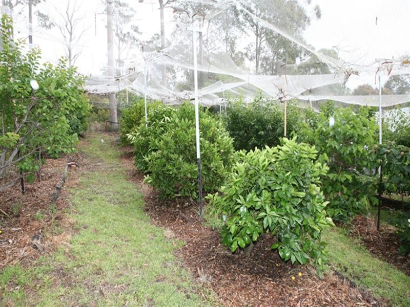 Bodalla NSW 2545