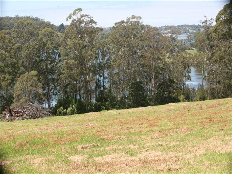 290 Riverview Road, North Narooma NSW 2546
