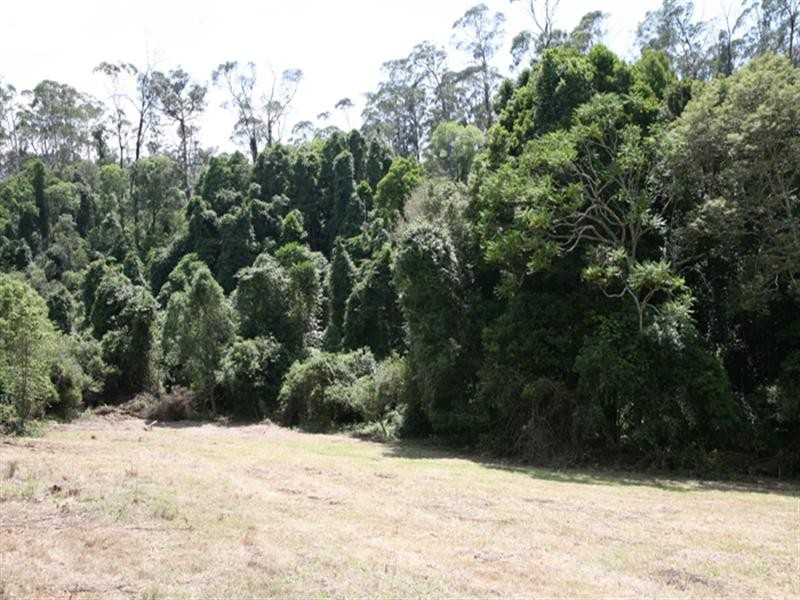 290 Riverview Road, North Narooma NSW 2546