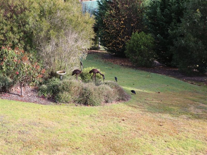 18 Kingfisher Place, Bodalla NSW 2545