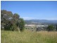 Blackbutt NSW 2529