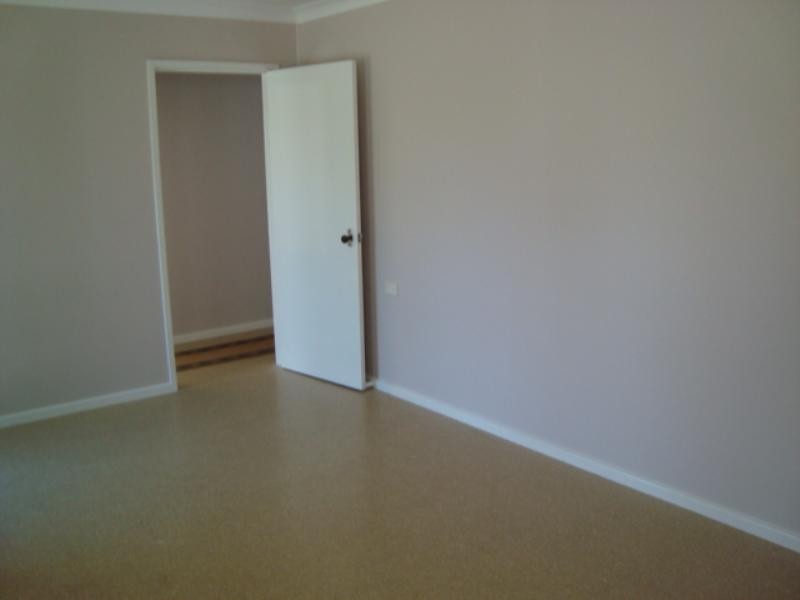 3 Wells Street, Barrack Heights NSW 2528