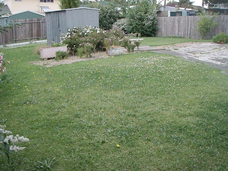 Barrack Heights NSW 2528