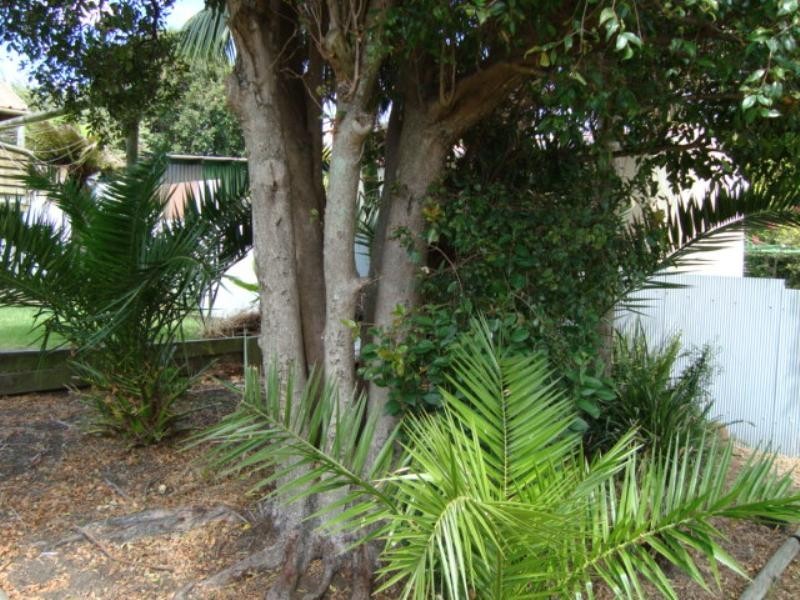 44 Mary Street, Shellharbour NSW 2529