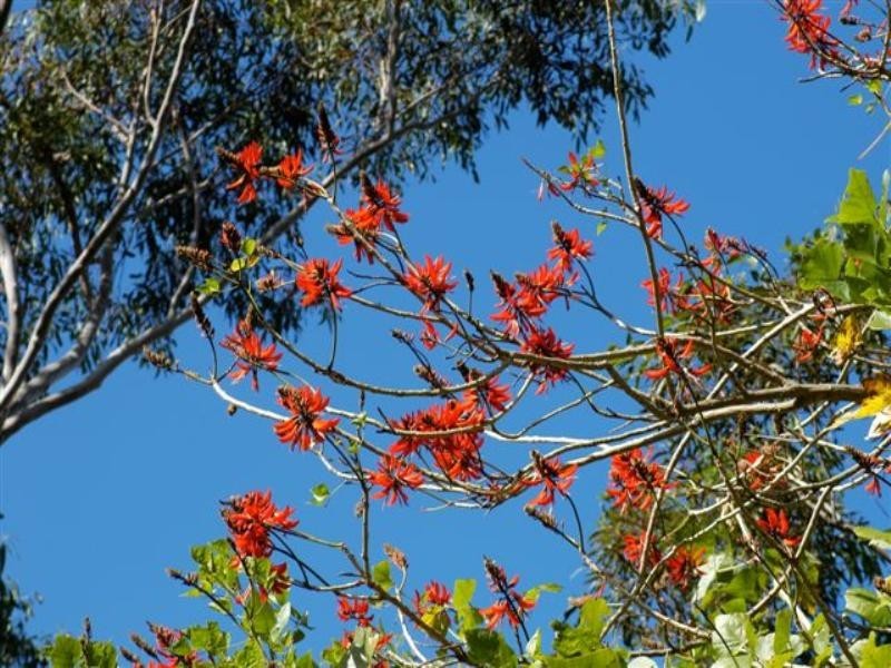 406 Jamberoo Mountain Road, Jamberoo NSW 2533