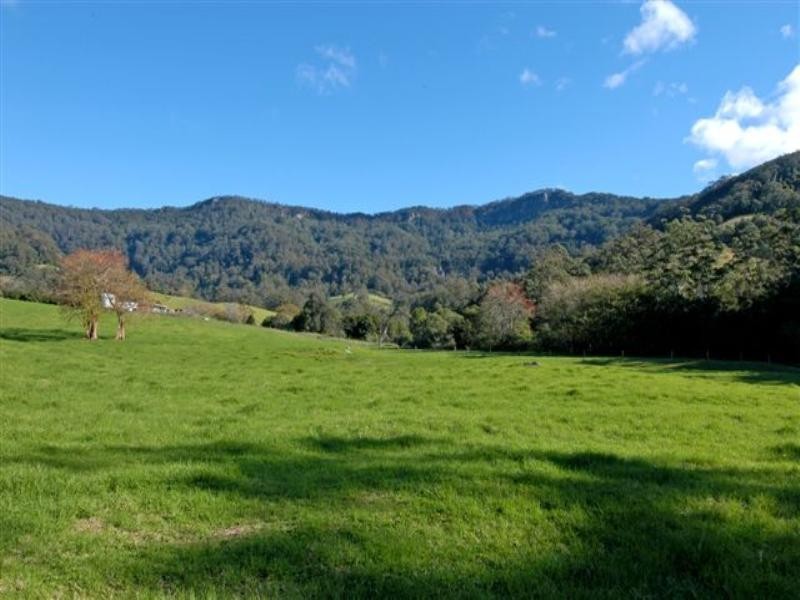 406 Jamberoo Mountain Road, Jamberoo NSW 2533