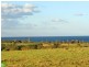 3 Makaha Way, Shell Cove NSW 2529
