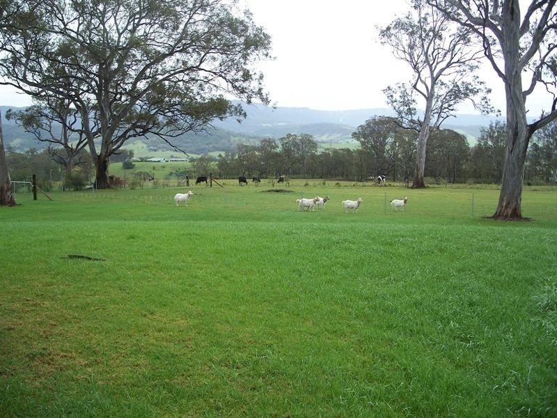 8 Yeramba Close, Yellow Rock NSW 2527