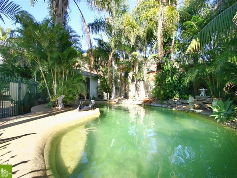 Barrack Heights NSW 2528