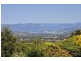 Blackbutt NSW 2529