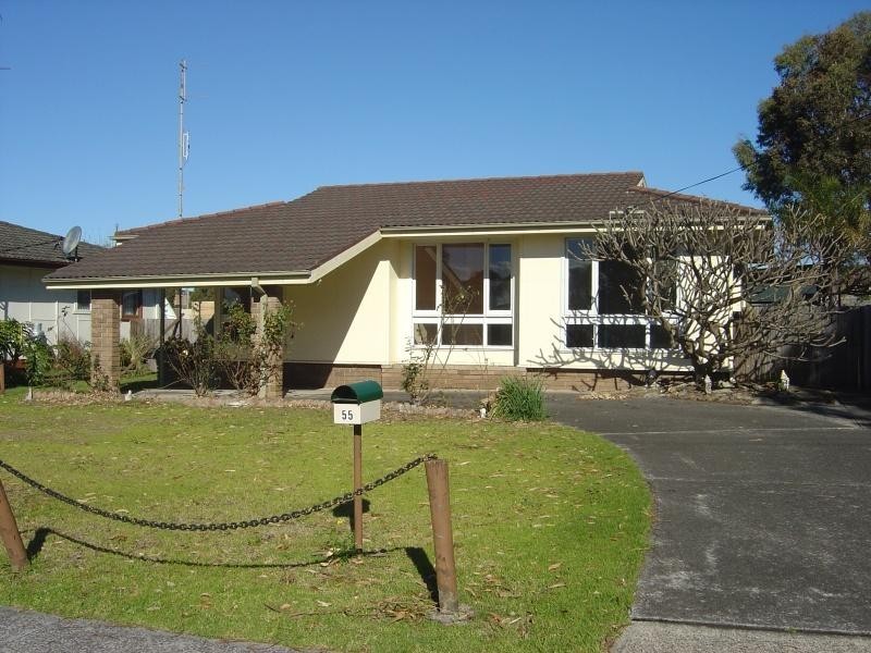 55 Roberts Avenue, Barrack Heights NSW 2528