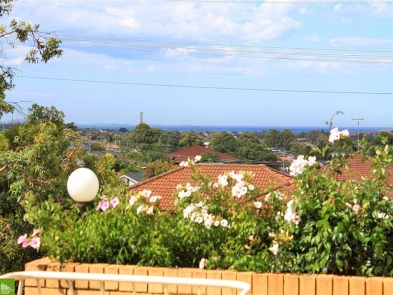 18 Denison Avenue, Barrack Heights NSW 2528