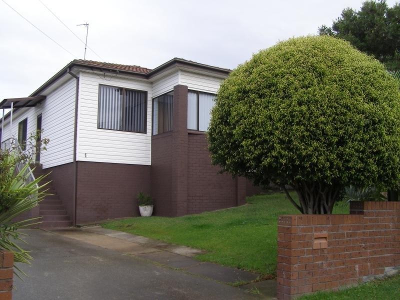 1 Hixson Street, Port Kembla NSW 2505