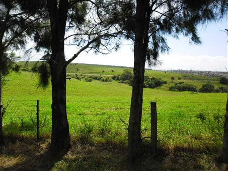 35 James Road, Croom NSW 2527