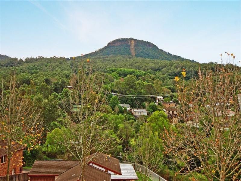 35 Valley Drive, Figtree NSW 2525