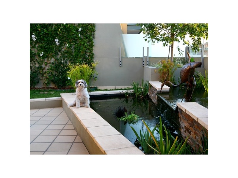 21/110 Commercial Road, Newstead QLD 4006