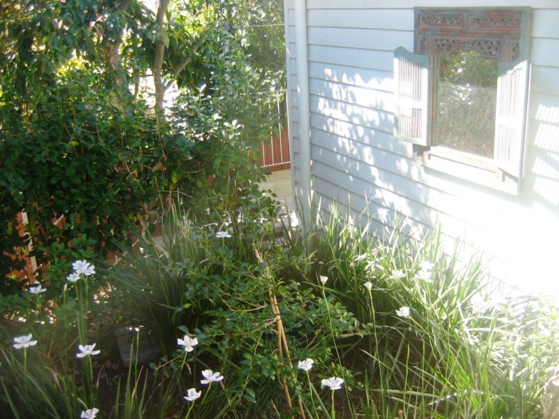 36 Blaikie Street, Hendra QLD 4011