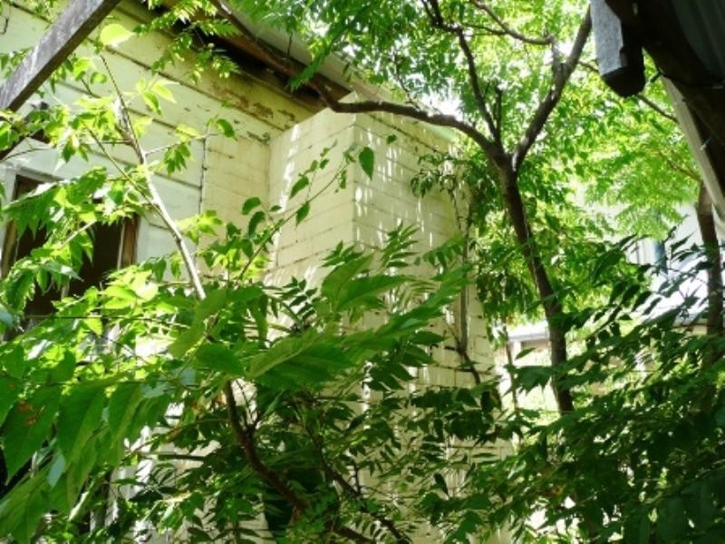 Fortitude Valley QLD 4006