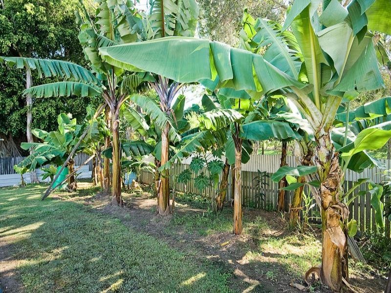 42 Moore Street, Loganlea QLD 4131