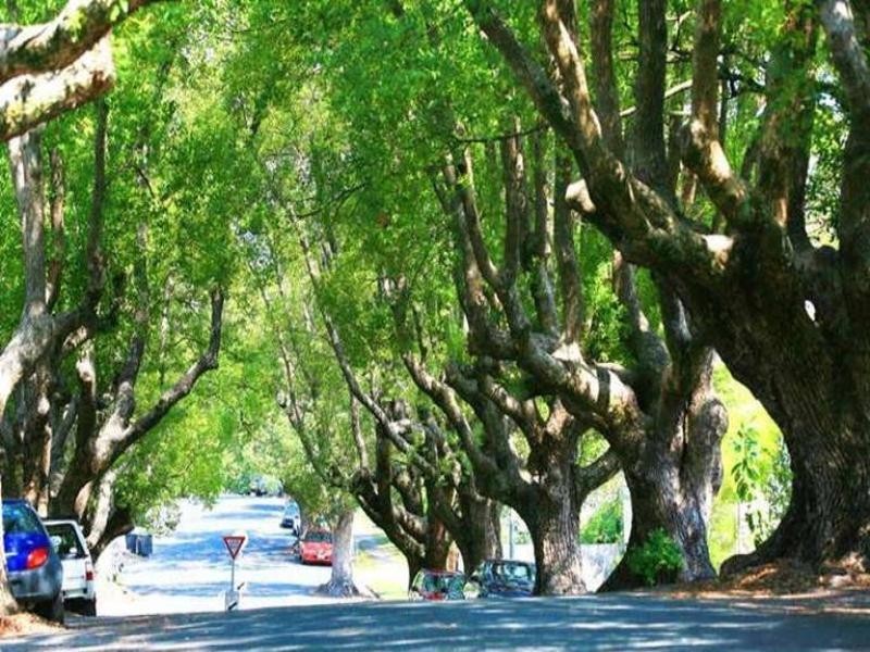 3/4 Abbott Street, New Farm QLD 4005