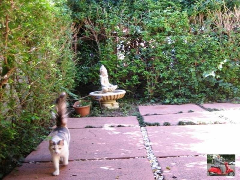 15 Union Street, Spring Hill QLD 4000