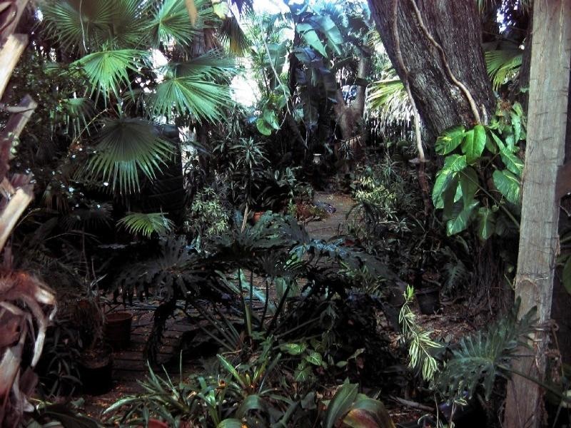 54 Haig Road, Milton QLD 4064