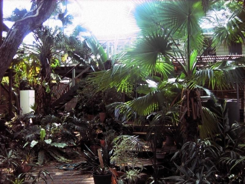 54 Haig Road, Milton QLD 4064