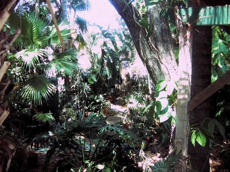 54 Haig Road, Milton QLD 4064