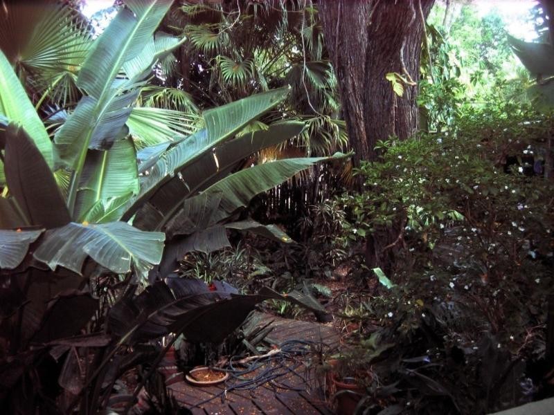 54 Haig Road, Milton QLD 4064