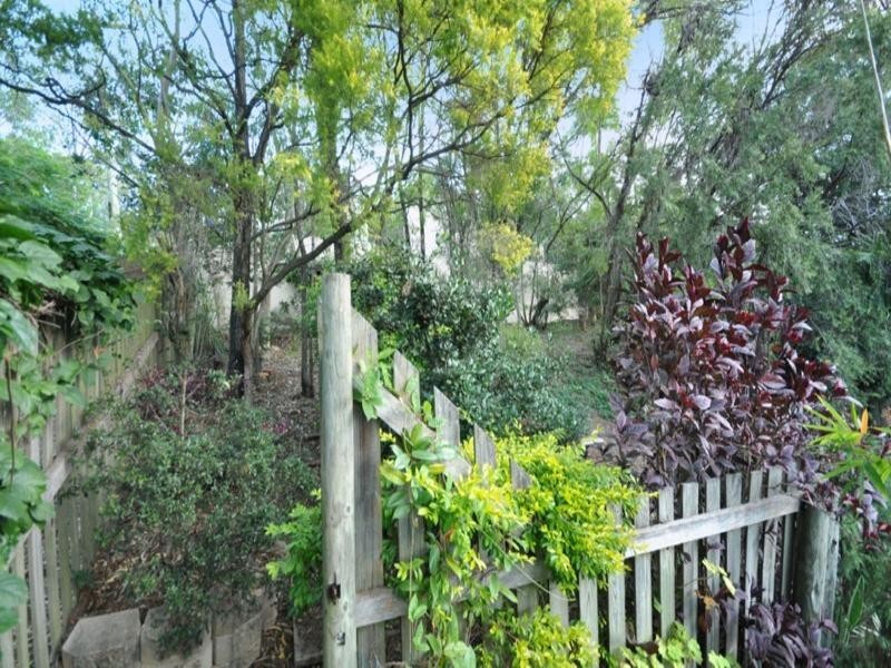 49 Joynt Street, Hamilton QLD 4007