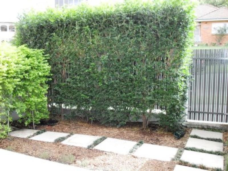 2/21 Little Street, Albion QLD 4010