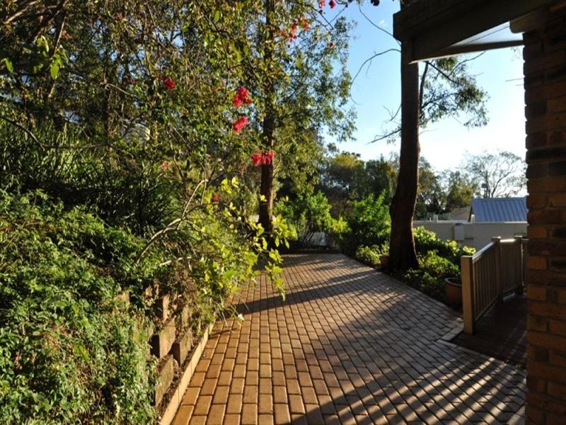 5 Lynell Street, Hamilton QLD 4007