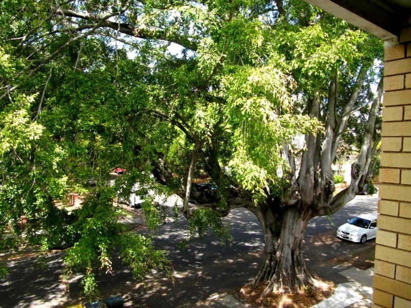 4/111 Moreton Street, New Farm QLD 4005