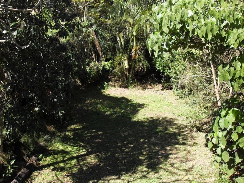 311 Harcourt Street, New Farm QLD 4005