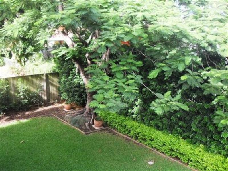 51 Woodville Street, Hendra QLD 4011