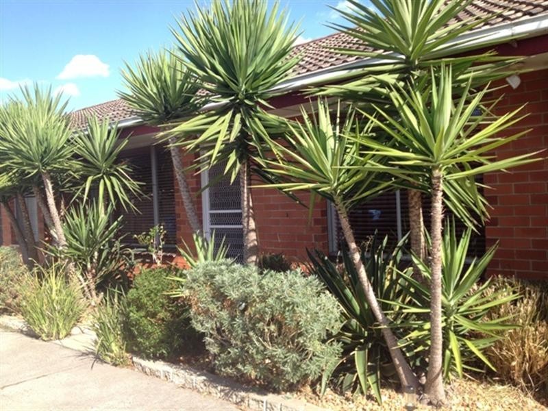 6/23 Fintonia Road, Noble Park VIC 3174