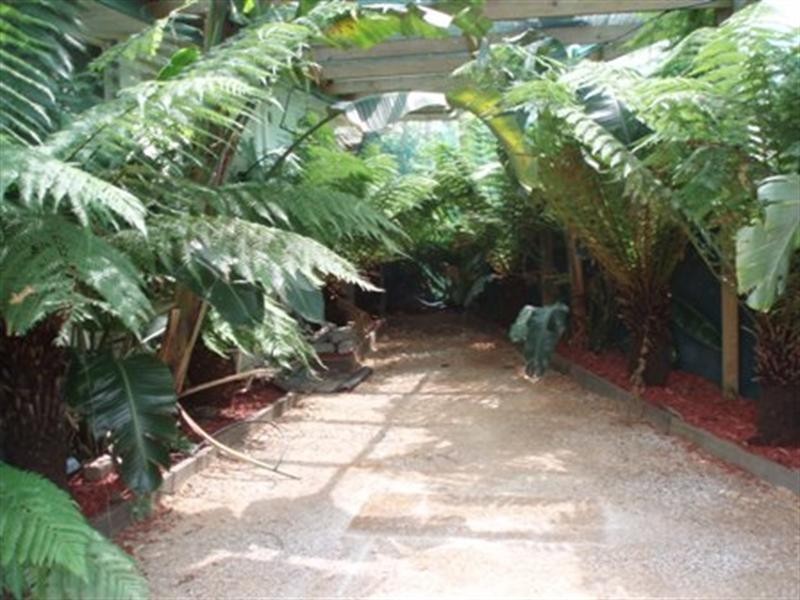 48 Carlton Road, Dandenong North VIC 3175