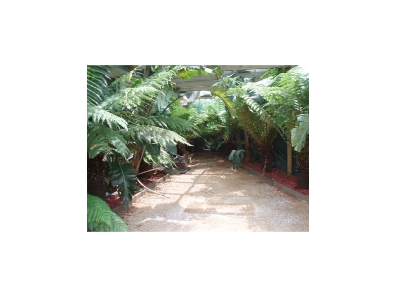 48 Carlton Road, Dandenong North VIC 3175